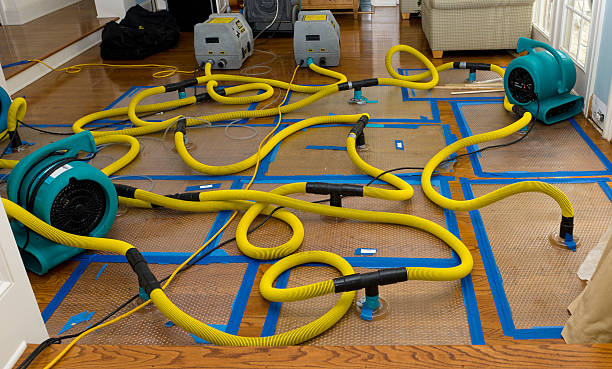Professional Sewage Cleanup technician working in New Athens, IL